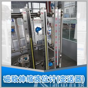 磁致伸縮液位計(jì)