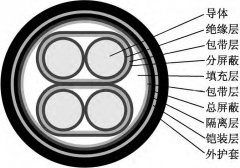 用于控制電磁流量計使用中低噪音的信號電纜結(jié)構(gòu)設(shè)計說明
