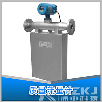 法蘭安裝質(zhì)量流量計